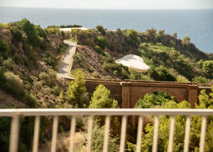 Torremolinos/Benalmadena: Nerja Caves Tour with Frigiliana - Who should book this outing