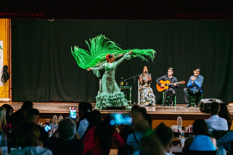 Torremolinos: Flamenco Show with Dinner and Drinks - Who will enjoy this evening most
