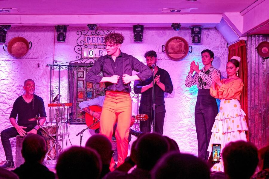 Torremolinos: Flamenco Show with Drinks - Who should book this show?