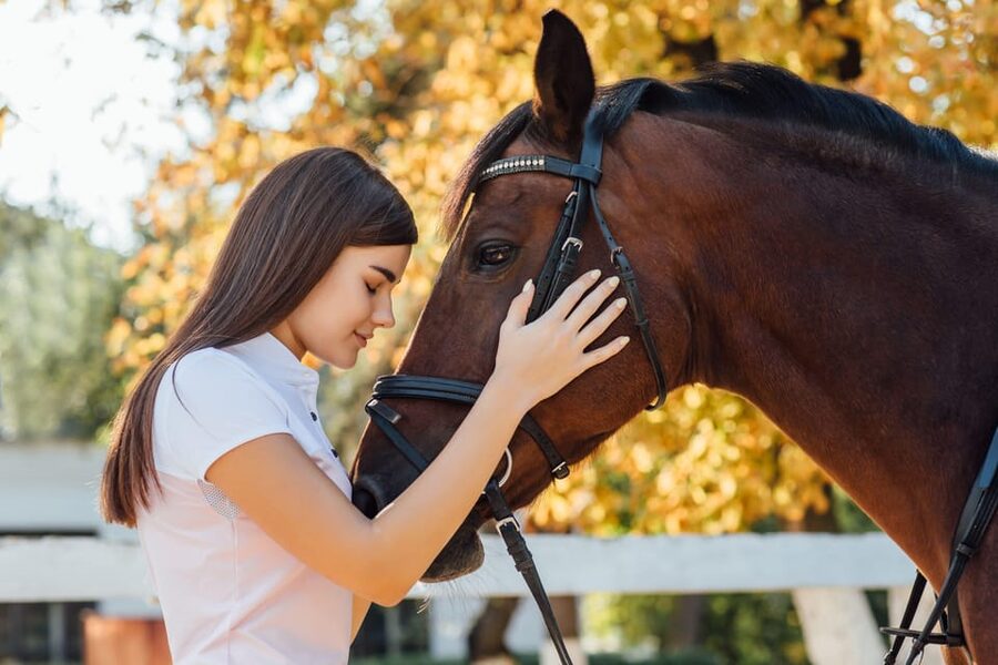 Torremolinos: Guided tour to stables of El Ranchito - A closer look at equestrian care