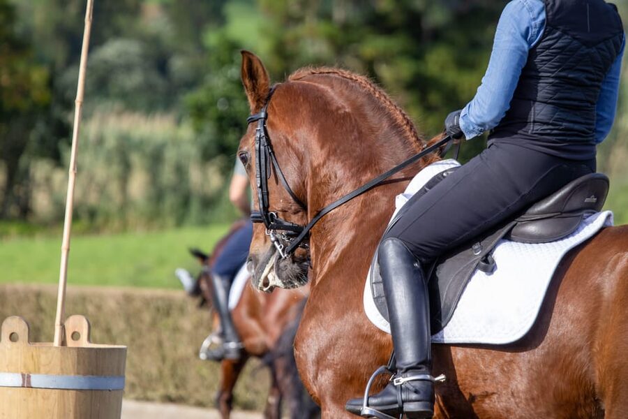 Torremolinos: Guided tour to stables of El Ranchito - How the timing works with Ritmo a Caballo