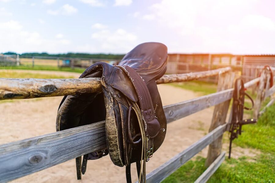 Torremolinos: Guided tour to stables of El Ranchito - Is $17 a fair price?