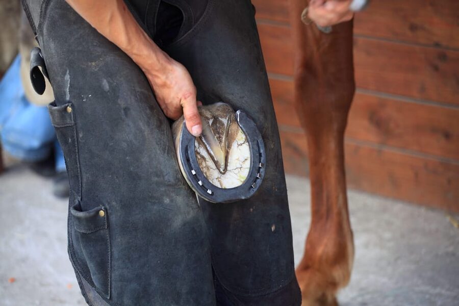 Torremolinos: Guided tour to stables of El Ranchito - Getting there and what to bring