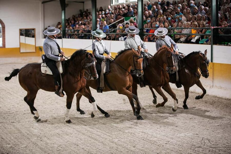 Torremolinos: Spanish horse show and flamenco with dinner option - Key points to know before you book