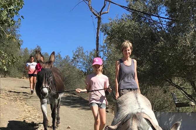 Tour the Sanctuary and Walk with the Donkeys and Share their Love - Why the safety talk is useful