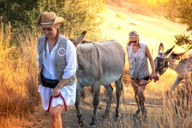 Tour the Sanctuary and Walk with the Donkeys and Share their Love - An Andalusian brunch on the terrace