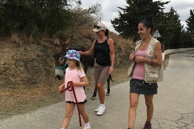 Tour the Sanctuary and Walk with the Donkeys and Share their Love - Is $66.16 a fair price?
