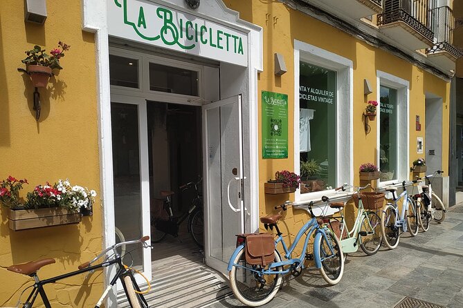Vintage Style Bike Rental in Malaga - A Full Day on a Vintage Bicycle