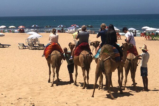 Vip Full Day Private Tangier Tour From Malaga All Inclusive - Caves of Hercules and the Atlantic edge