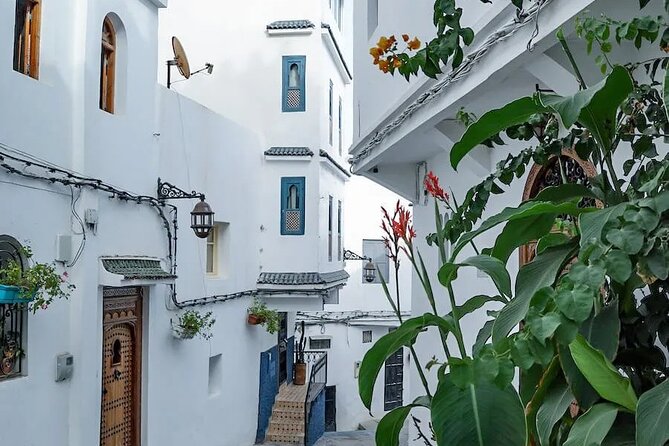 Vip Full Day Private Tangier Tour From Malaga All Inclusive - The Medina, lunch, and Morocco in close quarters