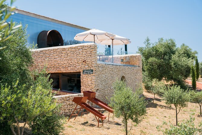Visit Oil Mill Museum and Olive Oil Tasting in Ronda - Walking Through Groves, Vineyards, and Philippe Starck Installations