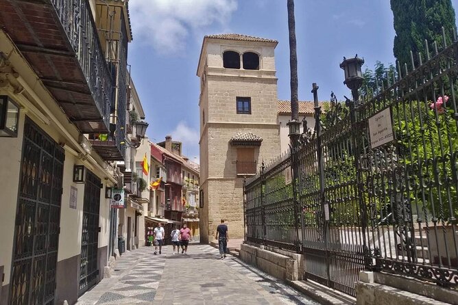 Visit the Picasso Museum with an Accredited Guide - Starting at the Palacio de los Condes de Buenavista