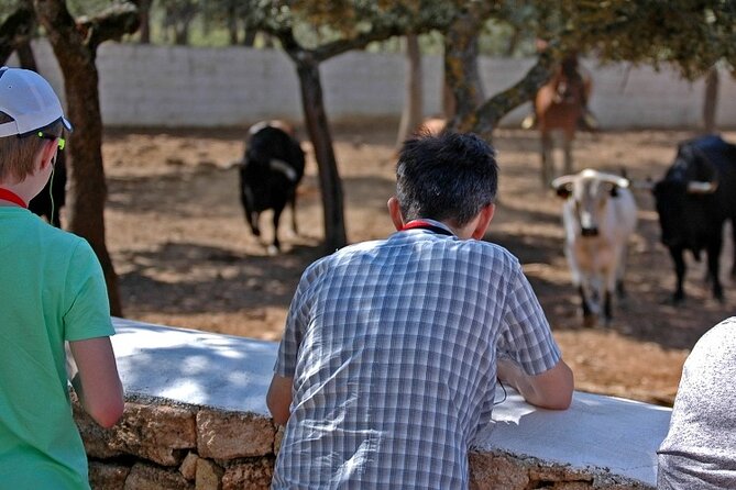 Visita Entre Toros y Caballos - Riding the ranch route through oak pasture