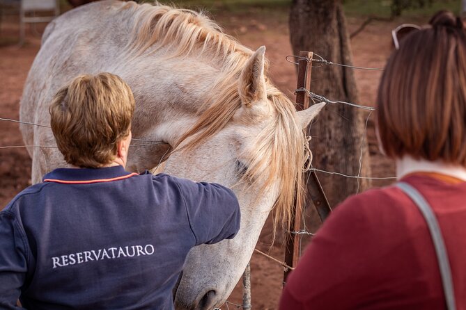 Visita Entre Toros y Caballos - Entering the testing bullring