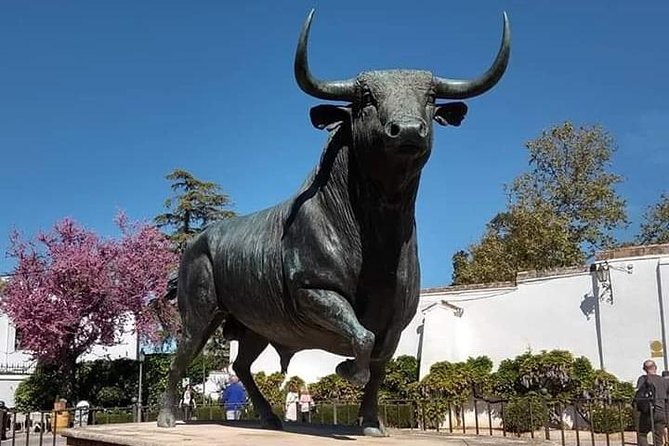 Visita Guiada Ronda - Bullfighting at Plaza de Toros