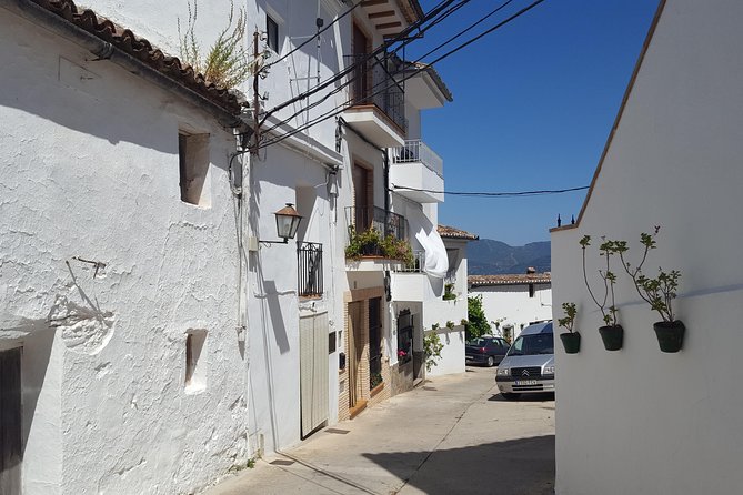 Wine, Tapas & Lake Zahara by e-bike incl Ronda pickup (full day) - Key points to know before booking