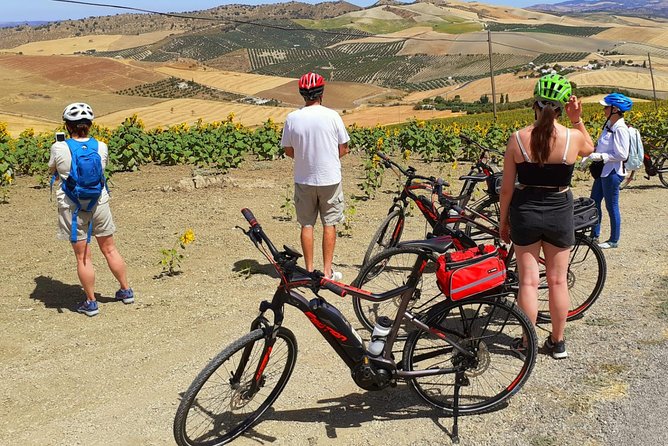 Wine, Tapas & Lake Zahara by e-bike incl Ronda pickup (full day) - Ronda pickup and the return vehicle