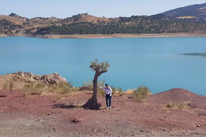 Wine, Tapas & Lake Zahara by e-bike incl Ronda pickup (full day) - What the $165.61 price includes