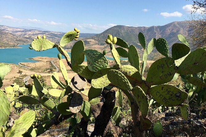 Wine, Tapas & Lake Zahara by e-bike incl Ronda pickup (full day) - Fitness, weather, and the practical tradeoffs