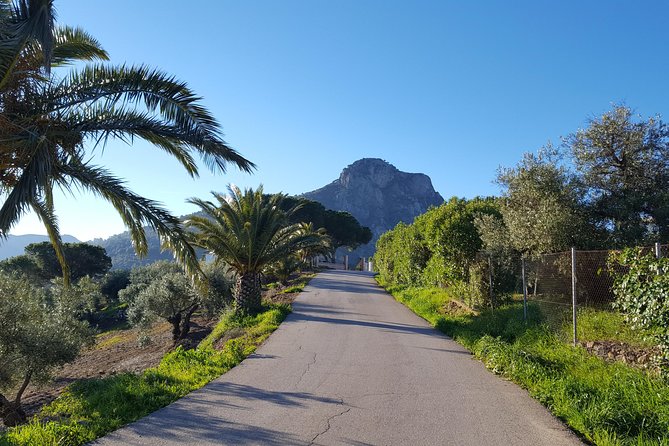 Wine & Tapas tour by electric bike (e-bike) including Ronda pickup (full day) - Tapas, lunch, wine, and the social side of the ride