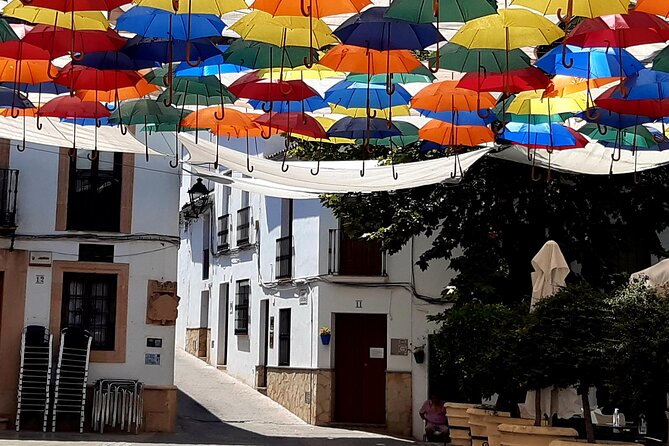 Wine & Tapas tour by electric bike (e-bike) including Ronda pickup (full day) - Ronda pickup keeps the day simple