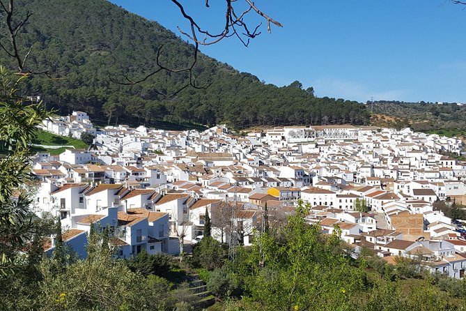 Wine & Tapas tour by electric bike (e-bike) including Ronda pickup (full day) - Price, group size, and what you receive