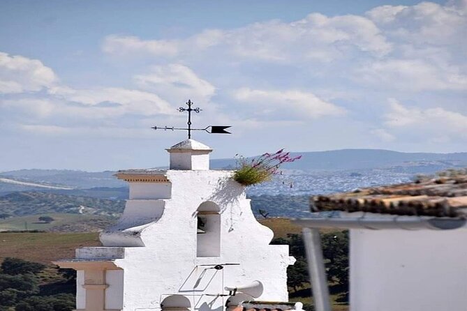 Wine & Tapas tour by electric bike (e-bike) including Ronda pickup (half day) - The $108 price and what you receive