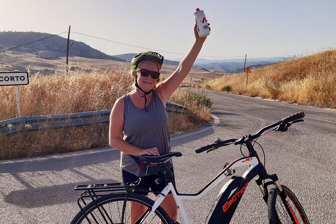 Wine & Tapas tour by electric bike (e-bike) including Ronda pickup (half day) - Who should book this four-hour ride