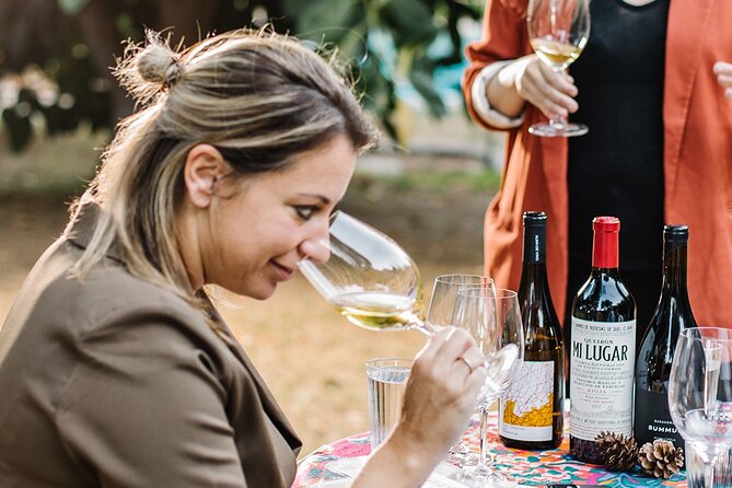 Winederlust Wine Tasting - Key points to know before booking